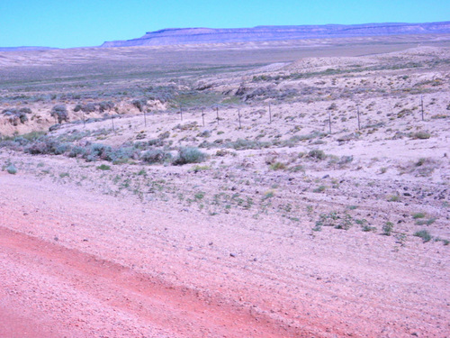 GDMBR, 23 June 2013, between Sage Creek and Teton Reservoir, WY, 7000'/2100m.